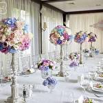 Идеальный праздник #5316