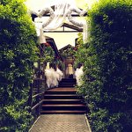 Ресторан «ЕЛІТА». Весілля у Львові #1207