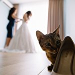 Антон Шевченко #6915