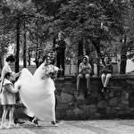 Євген Весільний фотограф Дніпро  #10073