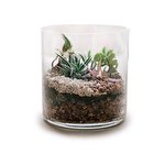 Gurin Попова #6612