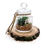 Gurin Попова #6612