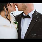 Назар Левицький #1607