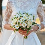 Аліна Стецюк #1617