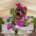 Zolota Antylopa #5121