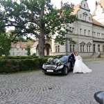 Володимир Коровський  #8050