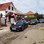 Володимир Коровський  #8050