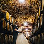 Виктория Скляр #1753