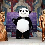 Організація свят Вадим #4762