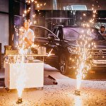 Володимир Підгайний #7371