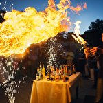 Володимир Підгайний #7371