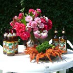 ОКСАНА СТОЙКО #1001