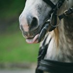 Наталя Боднар #2114