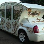 Святковий Кортеж #4635