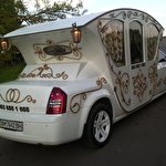 Святковий Кортеж #4635