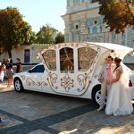 Святковий Кортеж #4635