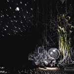 Свадебное агенство Bolgarina Agency #6330