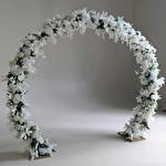 Дарина Василенко #10349