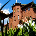 Артем Ківак #6808