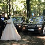 Anatoliy Gavrysh #6619