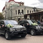 Anatoliy Gavrysh #6619