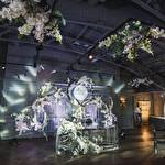 Концептуальні та режисерські весілля CLÉVENT #414