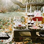 Анастасия Олексенко #860