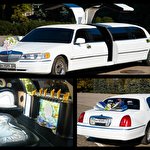 Сергей Dolce Vita #4720