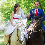 Максим Яковлев #4189