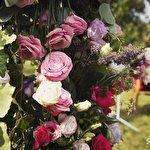 Марина Белей #4665