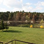 OLENA Готель #1014