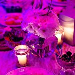 Віктор Брунець #6236