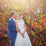 Alex Shcherbak #2418