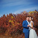 Alex Shcherbak #2418