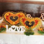 Фрукто Шок #4772