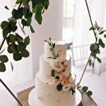 Family cakeroom  #9598