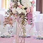 Тетяна Васьків #7003