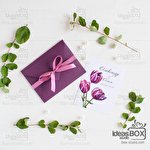 Studio Ideas Box #6733