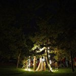 Igor Shevchenko #590