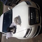 Артур Audi A6 #4606