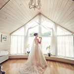 Ірина Шулюк #8183