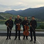 ATTESO струнний квартет #1467