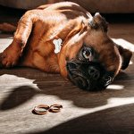 Илья Русачков #5368