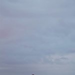 Станіслав Риган #2060