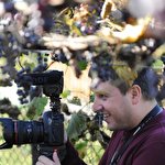 Андрій Хомяк MULTIKFILM production #256