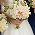 Моноцвіт  #8007