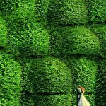 Игорь Арутин #3242