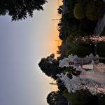 Марина  Вишинська  #10358