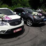 Свадебные авто Полтава #7153