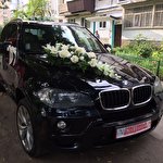 Свадебные авто Полтава #7153